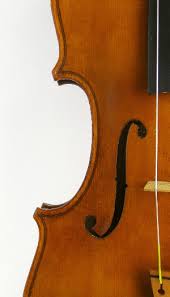 violin